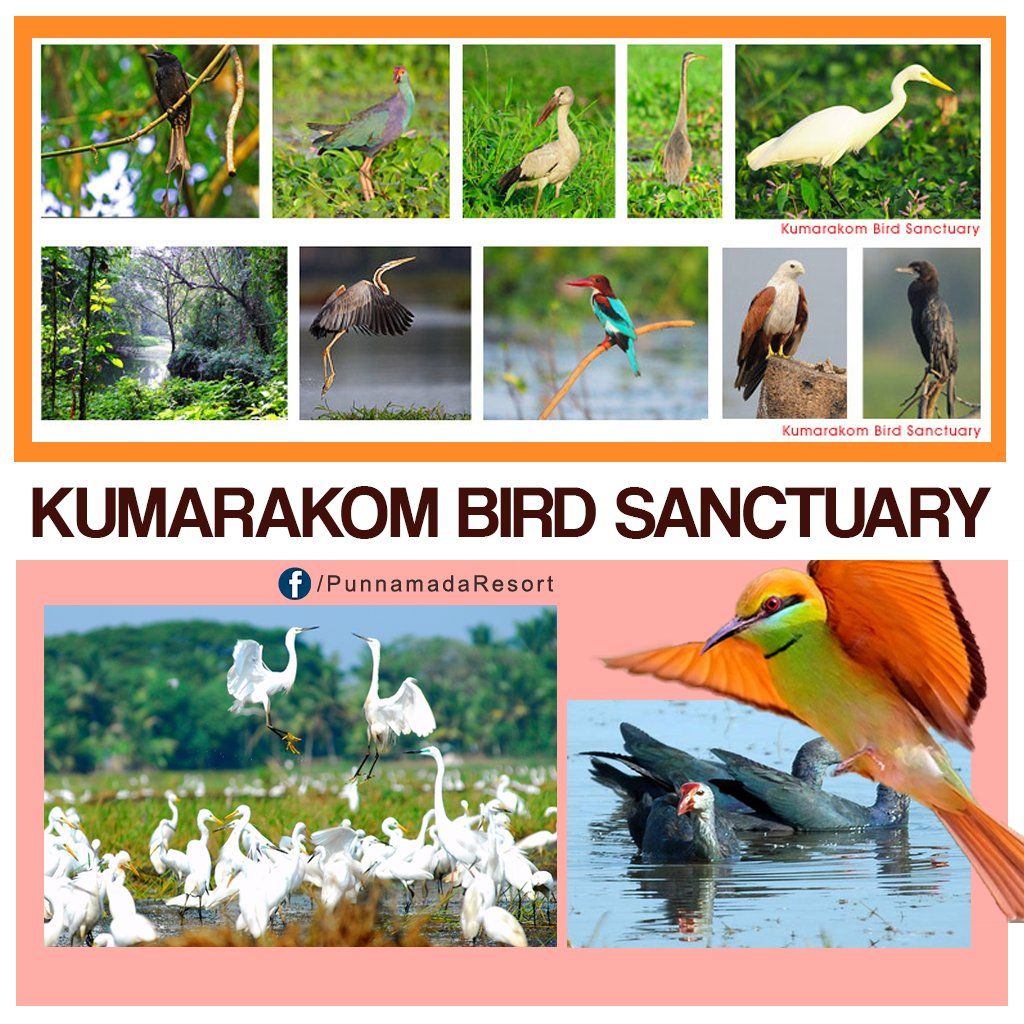 Kumarakom - Kerala
